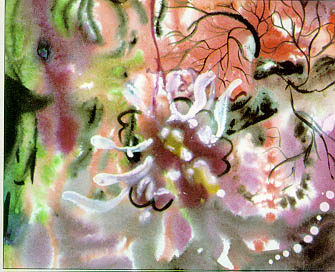 11.jpg (29855 bytes)