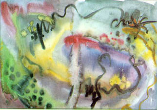 13-1.jpg (21337 bytes)